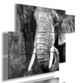 Tableaux d''éléphants