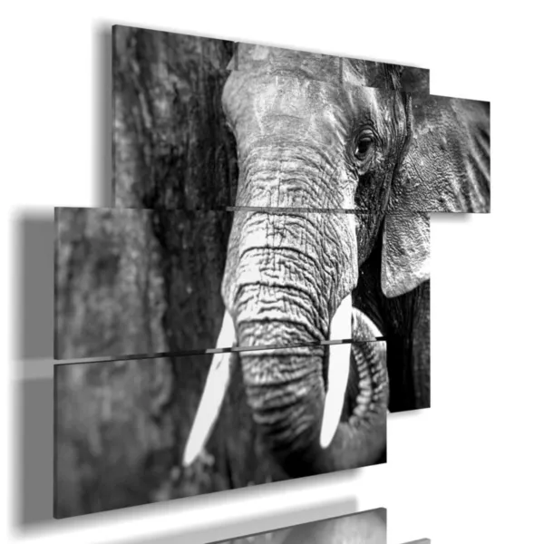 Paintings of elephants