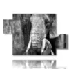 paintings of elephants artistic photos - version: 5 pannelli 128x85cm