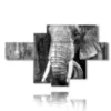 tableaux d elephants photos artistiques - version: 7 pannelli 171x104cm