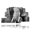 elefant bilder art photos - version: 9 pannelli 173x103cm
