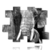 elefant bilder art photos - version: 15 pannelli 186x152cm