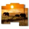 cuadro con fotos de elefantes al atardecer - version: 5 pannelli 89x77cm