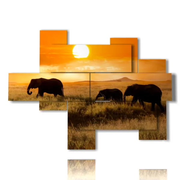 Fotos de elefantes al atardecer