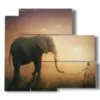bild mit elefanten und babyfoto - version: 5 pannelli 102x93cm
