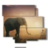 quadro con foto elefante e bambino - version: 6 pannelli 113x99cm