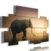 A picture with a photo of an elephant and a child.