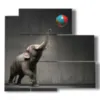 bild mit foto elefant und ball - version: 5 pannelli 102x93cm