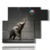 painting with photo elephant and ball - version: 6 pannelli 122x96cm