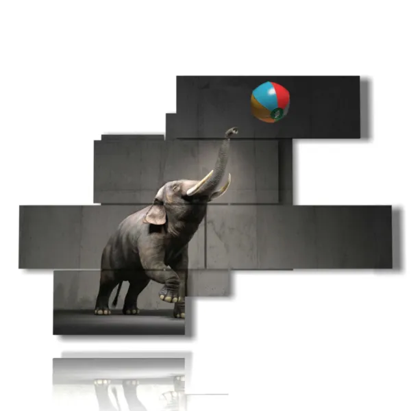 little elephant photo