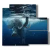 tableau avec des images d elephant dans l eau - version: 5 pannelli 102x93cm