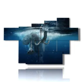 images d''éléphant