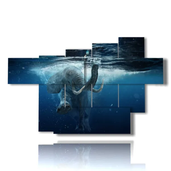 images d''éléphant