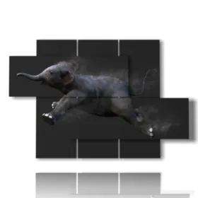 images d''éléphants pour enfants