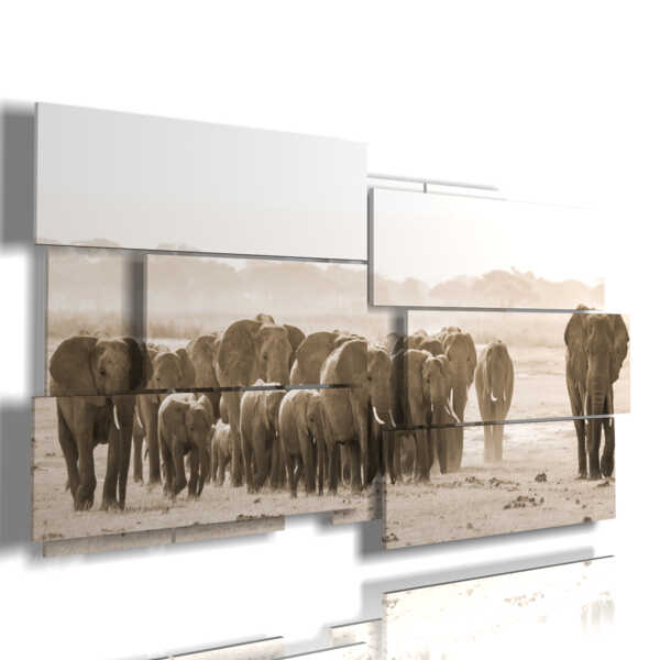 Images d'éléphants d'Afrique en tableaux