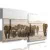 immagini elefanti africani nei quadri