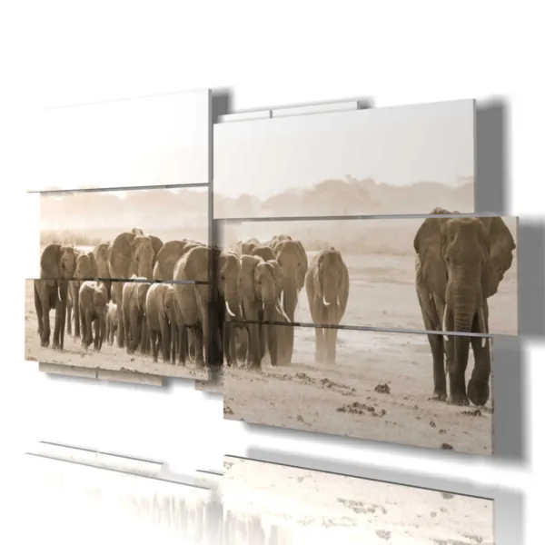 Photo of African elephants