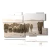 african elephant images in the paintings - version: 11 pannelli 184x104cm