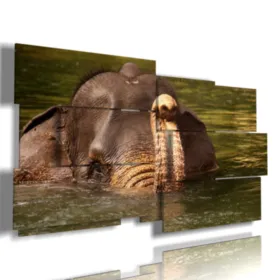 Bild mit Foto netter Elefanten