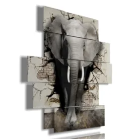 cuadro con imagen de elefante para niños
