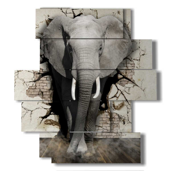 quadro con immagine elefante per bambini