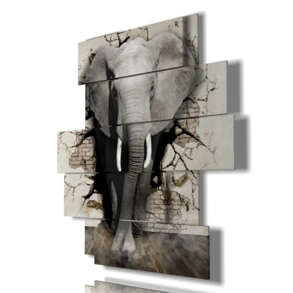 stampa elefante bambini