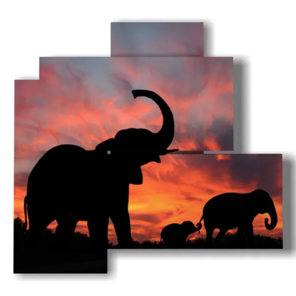 Profile view of an elephant image