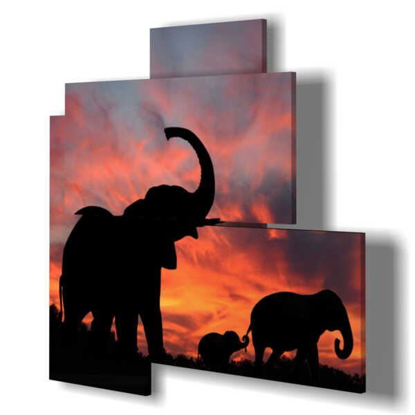 quadro con immagini elefante di profilo