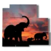 painting with elephant profile images - version: 5 pannelli 102x93cm