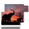 caja con imagenes de perfil de elefante - version: 6 pannelli 122x96cm