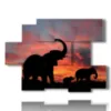 caja con imagenes de perfil de elefante - version: 6 pannelli 129x94cm