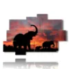 quadro con immagini elefante di profilo - version: 10 pannelli 173x114cm