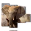 painting with images of sad elephant - version: 5 pannelli 104x90cm