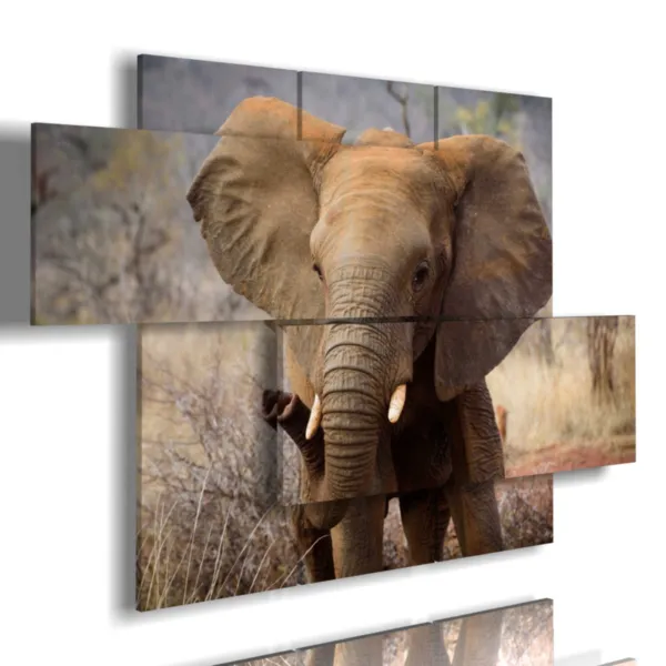 Elefante triste cuadro