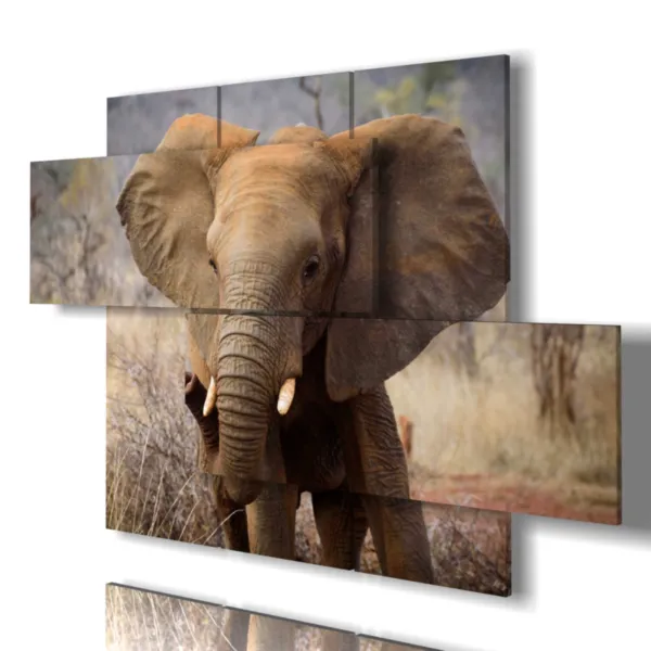 Impression d''un éléphant triste