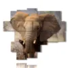 painting with images of sad elephant - version: 13 pannelli 180x151cm