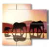 painting with elephant image drawing - version: 4 pannelli 91x85cm