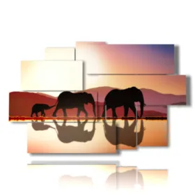 image éléphant dessin