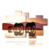painting with elephant image drawing - version: 9 pannelli 185x115cm