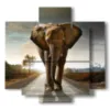 painting with colored elephant images - version: 5 pannelli 89x85cm
