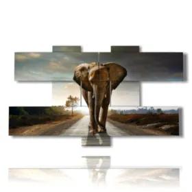 Images d''éléphants colorés