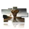painting with colored elephant images - version: 9 pannelli 182x107cm