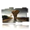tableau avec des images d elephants colorees - version: 11 pannelli 184x104cm
