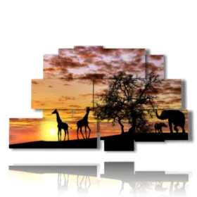 indisches Elephantbild