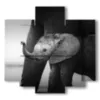 painting with photo elephant dumbo - version: 5 pannelli 89x85cm
