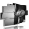Cuadro con foto del elefante Dumbo.
