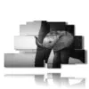 bild mit fotoelefant dumbo - version: 9 pannelli 173x103cm