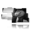 bild mit fotoelefant dumbo - version: 9 pannelli 180x103cm