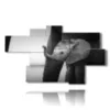 marco de fotos elefante dumbo - version: 7 pannelli 180x106cm