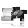 bild mit fotoelefant dumbo - version: 9 pannelli 184x106cm